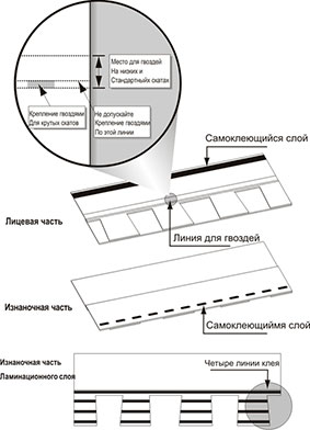 гонткровли